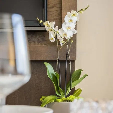 Apartman Vacationclub - Diune 24 Kołobrzeg